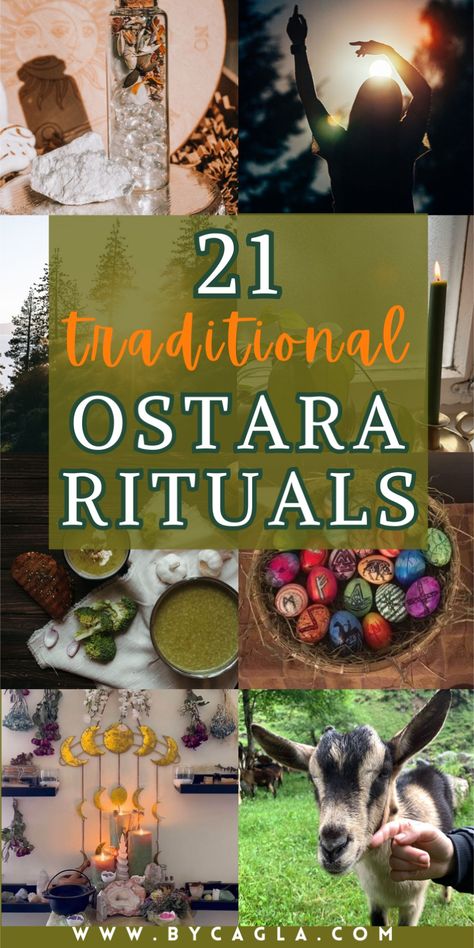 Out with the old and in with the new! Spring into joy with 21 vibrant Ostara Rituals! Explore enchanting traditions and embrace the magic of the spring equinox. Let's welcome renewal, growth, and pure wonder together! Spring Equinox Ritual, Ostara Ritual, Pure Wonder, Pagan Spirituality, Holi Celebration, Beginning Of Spring, Witchcraft For Beginners, Spring Equinox, Welcome Spring