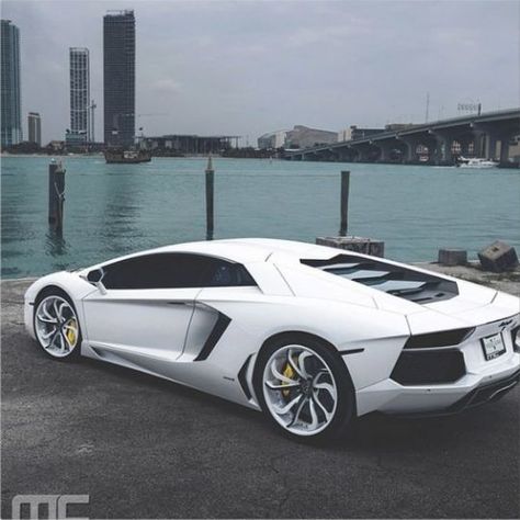 Cool Cars Exotic Sports Cars, Lamborghini Aventador White, White Lamborghini, Super Fast Cars, Lamborghini Cars, Best Classic Cars, Jeep Cars, Lamborghini Huracan, Lamborghini Gallardo