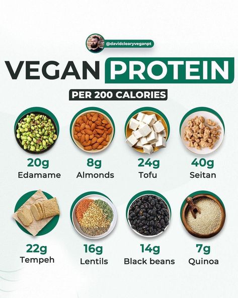 DAVE | Vegan Coach on Instagram: “VEGAN PROTEIN PER 200 CALORIES! 💪💪⁠ @davidclearyveganpt ⁠ Since protein is important for muscle building & slightly more difficult to hit…” Vegan Muscle Building, Muscle Building Meals, Glute Building, Energizing Breakfast, Vegan Muscle, Vegan Tips, Protein To Build Muscle, Muscle Building Foods, Vegan Meal Plans
