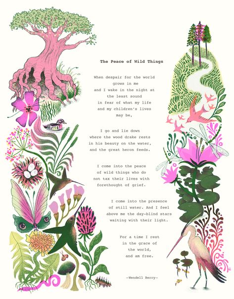 Poem Illustration The Peace of Wild Things Kristina Gauer Illustrator Nature Illustration Nature, Art Thesis Ideas, Poetry Illustration Graphic Design, The Peace Of Wild Things, Poems About Gardening, Poetry Book With Illustrations, The Peace Of Wild Things Wendell Berry, Mother Nature Poem, Wild Nature Quotes