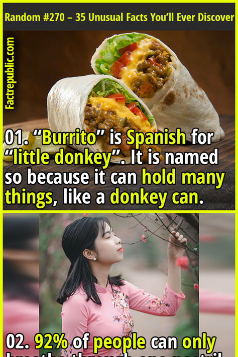 01. “Burrito” is Spanish for “little donkey”. It is named so because it can hold many things, like a donkey can. #food #health #fitness #didyouknow #people #interesting #fascinating #women #female #humans History Activities, Crazy Facts, Random Facts, Can Food, Fact Republic, Keto Treats, Unusual Facts, A Donkey, Spanish Humor