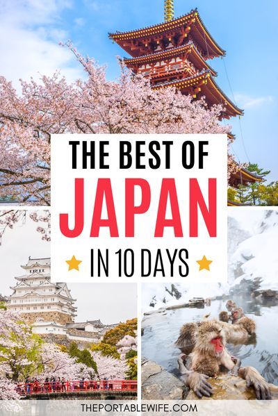 Nara, Osaka Itinerary, Japan Honeymoon, Japan Travel Destinations, Japan Spring, Japan Holidays, Mont Fuji, Tokyo Japan Travel, Japan Itinerary