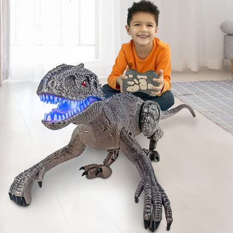 Dinosaur Velociraptor, Dinosaur Robot, Robot Dinosaur, Cool Toys For Boys, Dinosaur Toys For Kids, Dinosaur Room, Jurassic World Dinosaurs, Kids Electronics, Toy Ideas