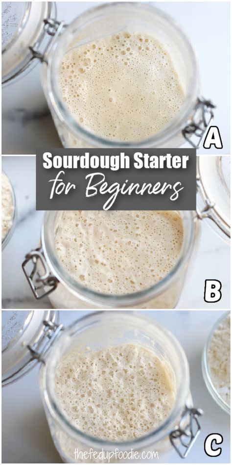 This Easy Sourdough Starter recipe creates gorgeously fluffy homemade products such as Sourdough Baguettes. Included are simple step by step instructions on how to start, feed and maintain Sourdough Starter that is perfect for beginners.  #SourdoughStarterForBeginners #MaintainingSourdoughStarter #EasySourdoughStarterRecipe #SourdoughBreadStarterRecipe #HowToCareForSourdoughStarter #HowToFeedSourdoughStarter #feedingSourdoughStarter Maintain Sourdough Starter, Sour Dough Bread Starter Recipe, Easy Sourdough Starter, Best Sourdough Starter Recipe, Sourdough Baguettes, Easy Sourdough Bread Recipe, Recipe Using Sourdough Starter, Pudding Chia, Sourdough Bread Starter