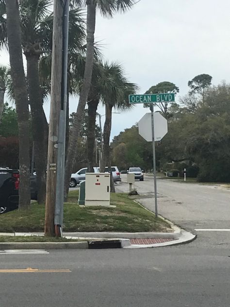 Ocean Blvd street sign Lana Del Rey did you know there is a tunnel under ocean blvd Lana Del Rey, Lana Del Rey Ocean Blvd Aesthetic, Tunnel Under Ocean Blvd Aesthetic, Ocean Blvd Aesthetic, Tunnel Under Ocean Boulevard, Ldr Albums, Lana Eras, Lana Albums, Lana Core