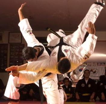 Hapkido, Grappling Techniques, Man Vs Man, Korean Martial Arts, Marshal Arts, Protein Diet, Martial Arts Techniques, Yoga Dance, High Protein Diet