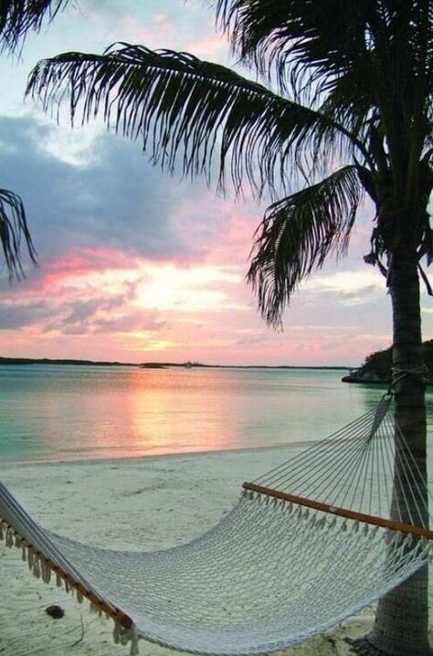 A hammock on the beach...so peaceful! #sumertime #beach #lovevacations                                                                                                                                                      More Komodo, Summer Bucket Lists, Seychelles, Hammock On The Beach, Hammock Hanging, Photo Shop, Private Island, E Card, Pretty Places