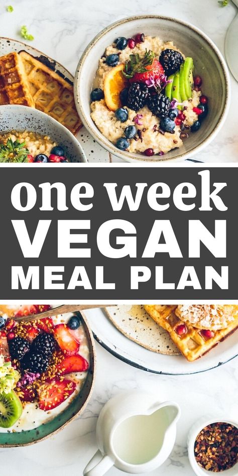 Plant Based Diet Meals, Vegan Meal Plan, Plant Based Diet Meal Plan, Plant Based Meal Planning, Vegan Diet Plan, Plant Based Recipes Breakfast, Vegetarian Meal Plan, Plant Based Diet Recipes, Vegan Menu