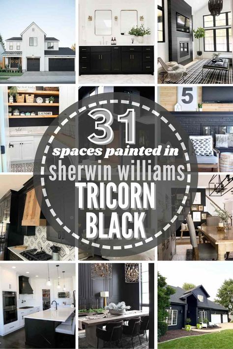 Iron Ore Vs Tricorn Black Exterior, Best Black Ceiling Paint Color, Sherwin Williams Tricorn Black Door, Paint Door And Trim Same Color, Black Trim Interior Kitchen, Tricorn Black House Exterior, Sherwin Williams Black Door Paint, Tricorn Black Fireplace Wall, Sherwin Williams Black Exterior Paint