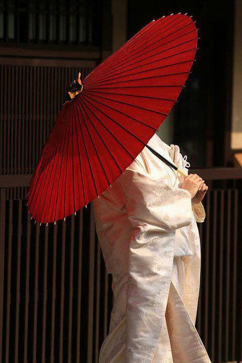 Couture, Japanese Umbrella Aesthetic, Geisha Aesthetic, Geisha Umbrella, Round Gazebo, Japanese Parasol, Umbrella Photo, Paper Umbrella, Japanese Umbrella