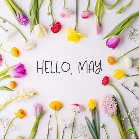 Hello May image with flowers. May Month Quotes, Hello May Quotes, Springtime Quotes, Hello Spring Wallpaper, April Wallpaper Aesthetic, Spring Wallpaper Iphone, Aesthetic Spring Wallpaper, Wallpaper April, April Aesthetic