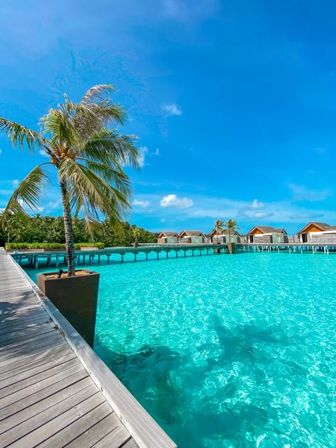 Underwater Restaurant, Visit Maldives, Maldives Resort, Maldives Island, Maldives Travel, Holiday Places, Adventure Explore, Dream Travel Destinations, I Am So Happy