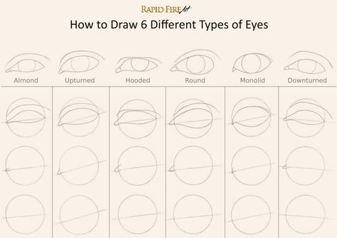 Tutorial: Drawing Different Eye Shapes It all starts with a simple circle! Visit the tutorial for more steps and learn how to draw a perfect iris. http://rapidfireart.com/2017/01/19/how-to-draw-different-eye-shapes/ Eye Drawing Simple, Iris Drawing, Different Types Of Eyes, Advanced Drawing, Drawing Eye, Realistic Eye Drawing, Eye Drawing Tutorials, Eyes Drawing, Eye Sketch