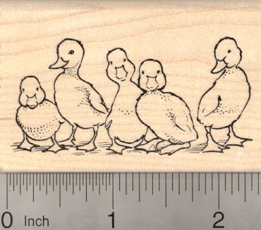 Row of Ducklings Duck Rubber Stamp -- Click image for more details. Geometric Embroidery Patterns, Duck Rubber, Affiches D'art Déco, Geometric Embroidery, Ohio Usa, Arte Animal, Book Art Drawings, Sketchbook Art Inspiration, Cool Art Drawings
