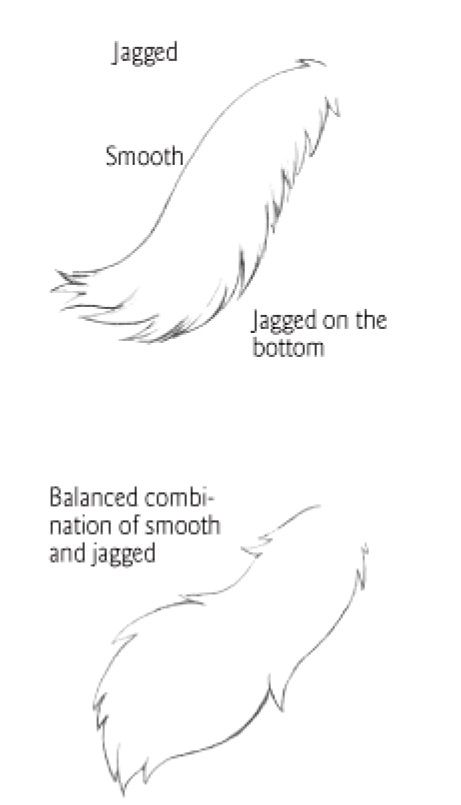 Tail types 2 Anime, Tail Drawing, Wolf Tail