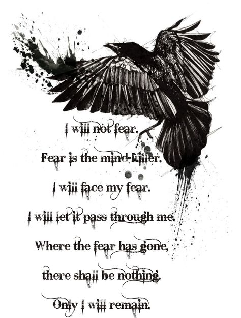 Bohol, Viking Quotes, Witch Quotes, Animal Spirit Guides, Warrior Quotes, Bar Club, The Crow, Soul Quotes, New Year's Eve Party