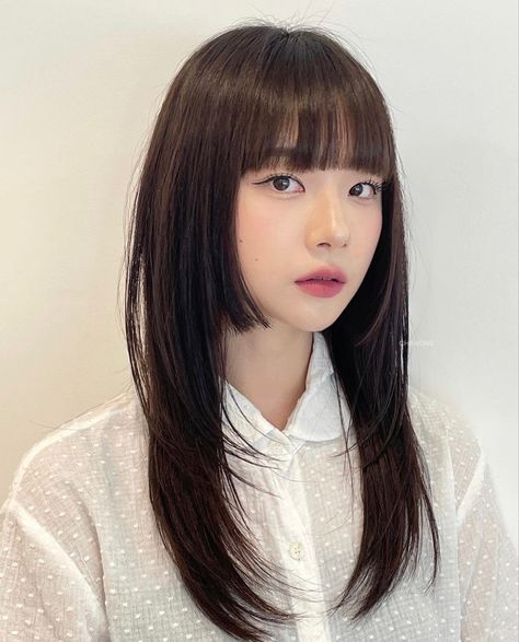 Cool Korean Haircut, Himecut Long Hair, Korean Hime Haircut, Hime Haircut On Round Face, Haircuts Korean Style, Long Hair With Bangs Asian, Hush Cut Hair Medium With Bangs, Japanese Bangstyle Hair, Soft Hime Haircut