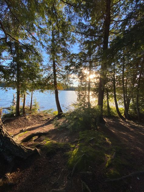 Peninsula point overlooking an inland lake in Hiawatha National Forest, Michigan Nature, Michigan Landscape Photography, Church Camp Aesthetic, Michigan Forest, Michigan Trees, Lake In The Forest, Forest Restaurant, 28 Birthday, Woods Aesthetic