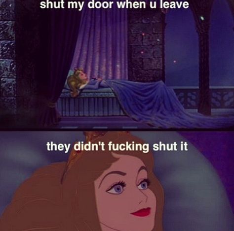 When people dont shut The door! Sleeping beauty edition Memes Faces, Round Faces, Disney Memes, Meme Faces, Disney Funny, Laughing So Hard, What’s Going On, Pixie Haircut, Lps