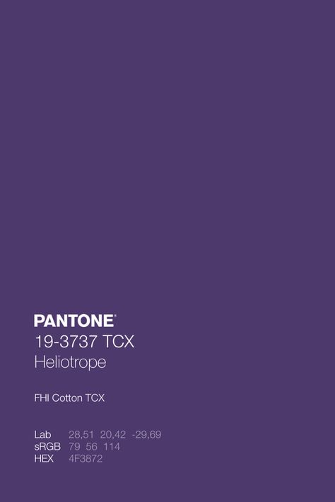 Pantone Violet Purple, Rich Purple Color Palette, Purple Pantone Palette, Pantone Colors Purple, Purple Palette Color, Cool Tone Purple, Pantone Wallpaper, Color Palette Purple, Violet Palette