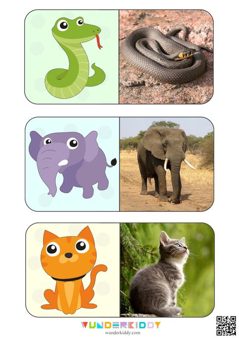 Printable Animals Montessori Cards is very popular by children at about 2–4 years old. They can find and compare illustrations with painted animals and photos of animals in real life. The task is to find matching pairs of pictures. To play the preschool game «Animals Around the World» print activity sheets for free on WUNDERKIDDY and cut out cards so that it would be only one picture a card. Mix the cards and ask a child to take cards one by one and find matching pairs. While playing, talk about Blind Test, Painted Animals, Montessori Cards, Activity For Toddlers, Kids Worksheets Preschool, Animal Printables, Special Educational Needs, Preschool Activities Toddler, Baby Play Activities