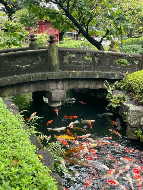 Japanese Countryside, Shotting Photo, Infp T, Japan Aesthetic, Aesthetic Japan, Japanese Aesthetic, Soju, The Pond, Nature Aesthetic