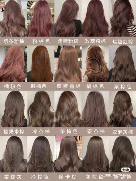 hair color inspo douyin girl douyin makeup chinese hairstyle xiaohongshu hair color Hair Dye Colors Dark Brown, Hair Colors For Pale Cool Tone Skin, Hair Color Ideas Non Bleach, Korean Natural Hair Color, Hair Colors For Asian Skin Tone, Rare Hair Colors Natural, Hair Dye Colors Natural, Korean Hair Color 2024, Natural Hair Colors Ideas