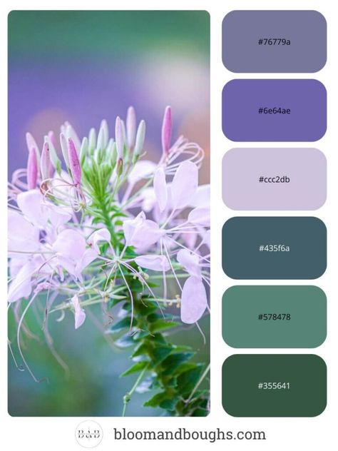 Color Palettes With Hex Codes, Summer Color Palettes, Soft Summer Palette, Soft Summer Color Palette, Soft Summer Colors, Straw Bales, Summer Color Palette, Color Palette Pink, Hex Codes