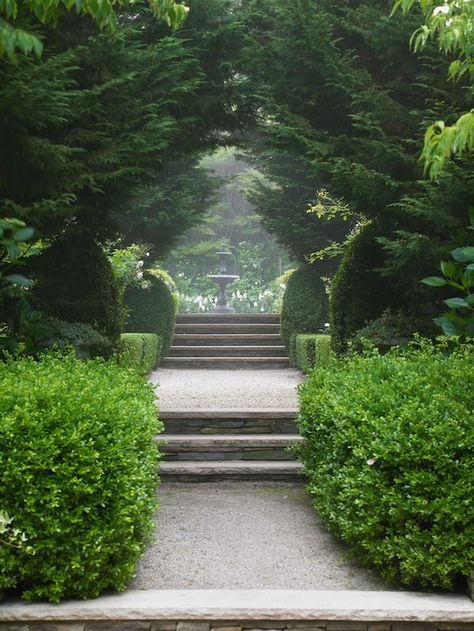 . Garden Paths, Formal Gardens, Shaded Garden, Estate Garden, Garden Steps, Formal Garden, Garden Elements, Gorgeous Gardens, Landscape Architect