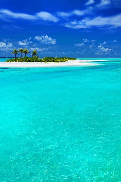 Beach Meditation, Beach With Palm Trees, Paradise Places, Beautiful Beach Scenes, Paradise Pictures, Bright Blue Sky, Deserted Island, Music Nature, Sorting Games