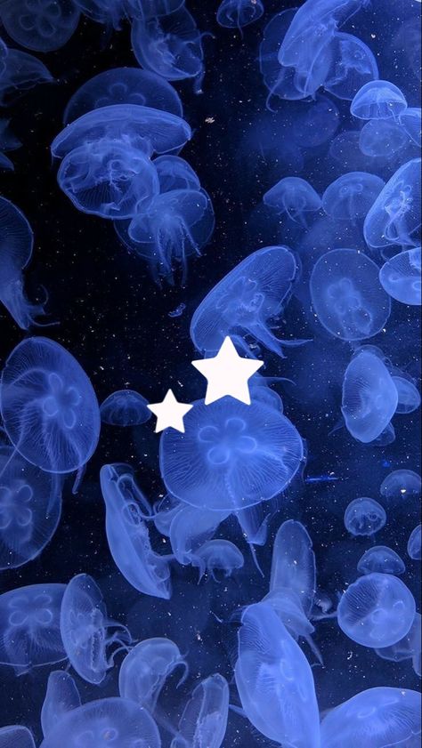 Blue Aesthic, Vtuber Aesthetic, Chart Aesthetic, Jellyfish Pictures, Aesthetic Layout, Wallpaper Seni, Wallpaper Estetika, Tapeta Harry Potter, Computer Background