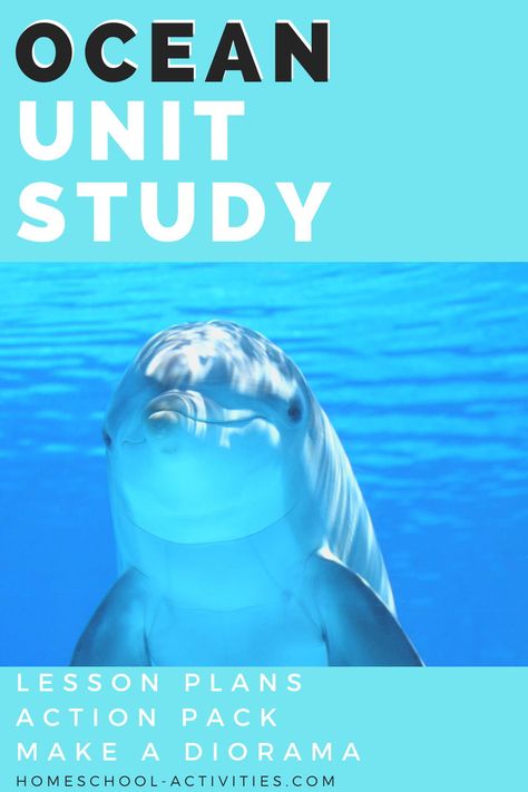 Free Ocean Unit Study, Ocean Unit Study Homeschool, Free Ocean Printables, Fish Unit Study, Ocean Education, Ocean Unit Study, Ocean Animals Preschool, Homeschool Unit Studies, Third Grade Lesson Plans