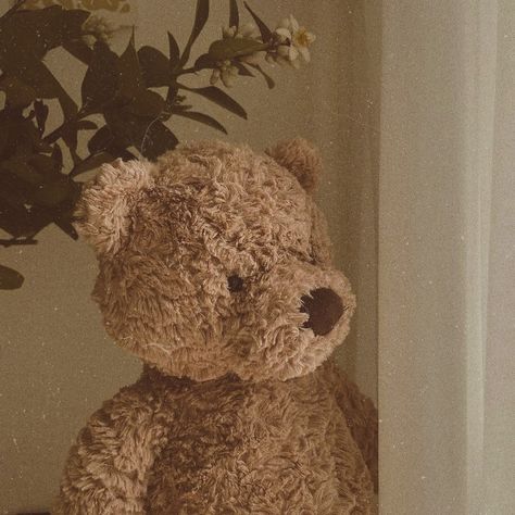 Bear Profile Picture Aesthetic, Light Brown Teddy Bear Aesthetic, Teddy Bear Brown Aesthetic, Teddy Bear Pfp Aesthetic, Aesthetic Teddy Bear, Korean Aesthetic Wallpaper, Light Brown Teddy Bear, Teddy Teddy, Animals Aesthetic