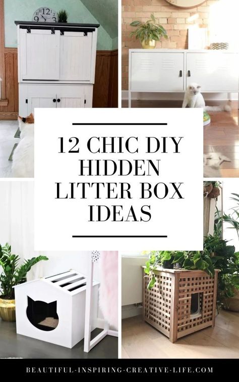 12 Stylish DIY Cat Litter Box Enclosures & Hidden Litter Box Ideas! Hide Cat Box Ideas, Hidden Litter Boxes Diy, Diy Hidden Litter Box Ideas, Diy Hidden Litter Box, Hidden Litter Box Ideas, Plant Litter Box, Cat Box Furniture, Cat Litter Box Diy, Bunny Litter Box
