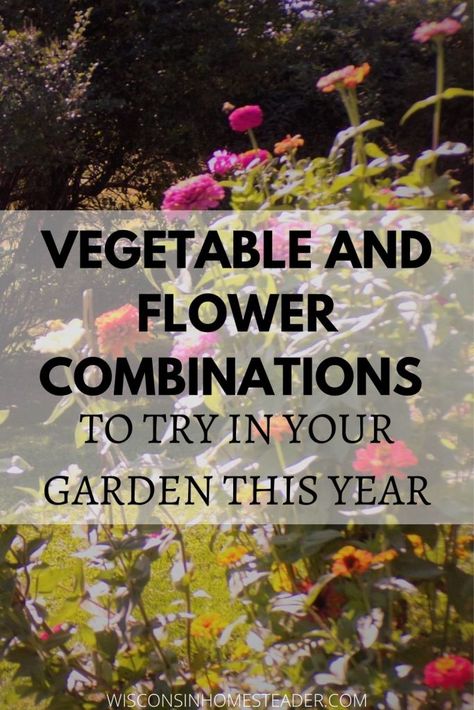 VEGETABLES AND FLOWER COMBINATIONS Interplanting Vegetables, Companion Planting Layout, Plants For Planters, Planting Layout, Edible Flower Garden, Flower Combinations, Flower Garden Layouts, Pollinating Flowers, Companion Planting Vegetables