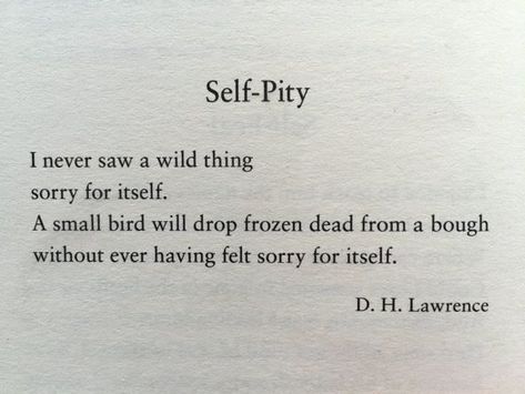 Self-Pity by English writer and poet, D.H. Lawrence. (1885 - 1930) Tumblr, Makes You Stronger Quotes, Stronger Quotes, Poetry Wall, Dh Lawrence, D H Lawrence, Hold Fast, Self Pity, Lightbulbs