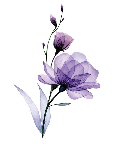 composition with transparent flowers. purple roses, wild rose flowers and leaves. delicate x-ray pattern Purple Flowers Aesthetic, Purple Flower Watercolor, Purple Wildflowers, Butterfly Art Print, Transparent Flowers, Flowers Purple, Botanical Art Prints, Floral Drawing, Purple Art