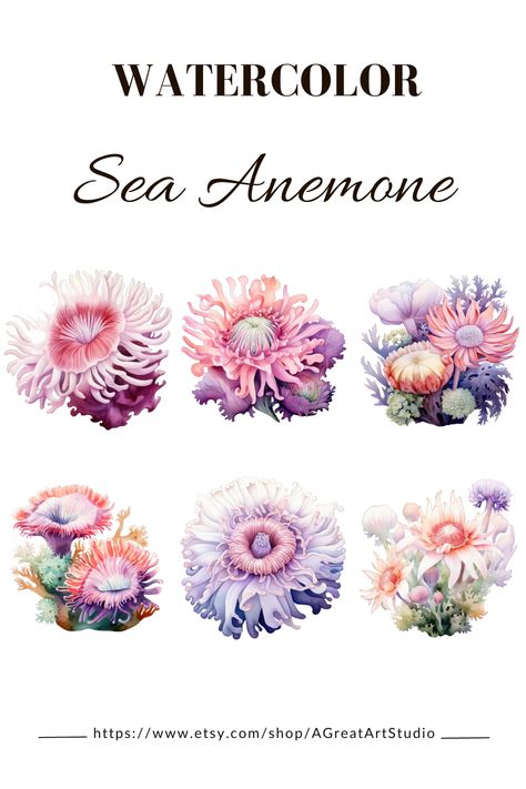 Sea Anemone Art, Watercolor Anemone Flower, Sea Anemone Tattoo, Sea Flowers Tattoo, Sea Anemone Drawing, Sea Anenomes, Undersea Illustration, Under The Sea Tattoo, Anemone Ocean