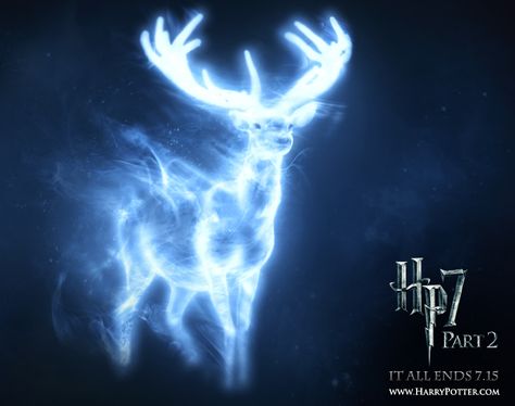 What’s Your Patronus? I got horse-loyal, smart, and willing to take risks for my family and friends. That's so me! Patronus Harry Potter, Harry Potter Patronus, Office Halloween, Harry Potter Quizzes, Behind Blue Eyes, Buck Deer, Images Harry Potter, Lily Evans, Ginny Weasley