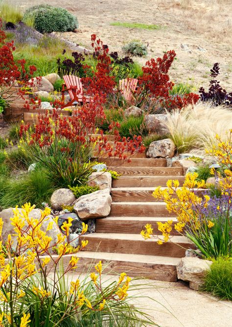 Steep Hill Landscaping, Tiburon California, Design Methodology, California Native Garden, Water Wise Landscaping, Water Wise Plants, Landscaping On A Hill, Landscape Gardening, Design Proposal