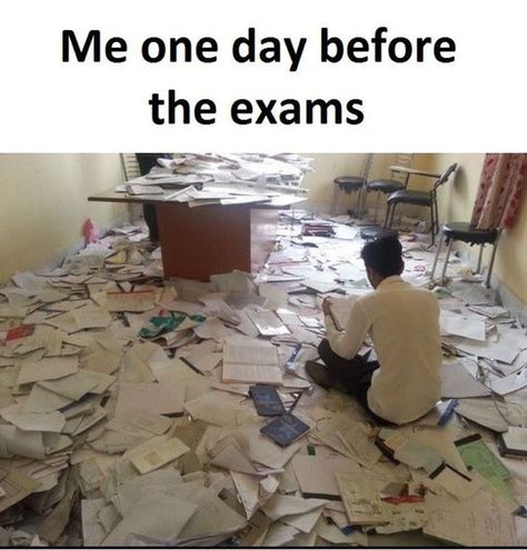 50 HOT NOVEMBER MEMES #183 – Funnyfoto | Funny Pictures - Videos - Gifs - Page 13 Exams Memes, Studying Memes, Exams Funny, Exam Quotes Funny, Very Funny Memes, Funny School Memes, School Jokes, School Quotes Funny, Funny School Jokes