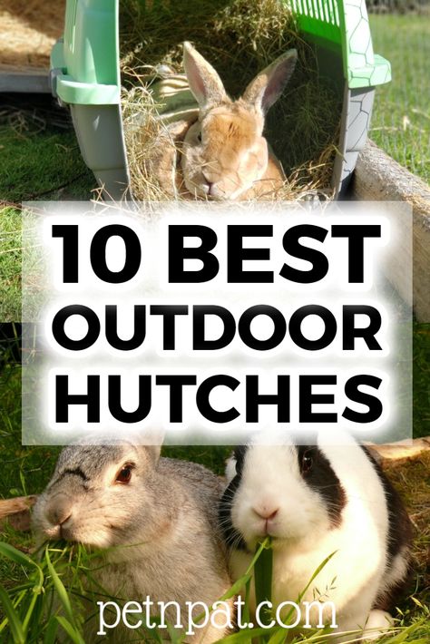 10 Best Outdoor Rabbit Hutches To Keep Your Bunny Safe #bunny #rabbit #rabbithutch #hutch #animals #pets Wild Bunny House Outdoor, Bunny Hutch Outdoor, Outdoor Bunny Hutch, Diy Bunny Hutch, Outdoor Hutch, Bunny Hutches, Double Rabbit Hutch, Large Hutch, Rabbit Cages Outdoor