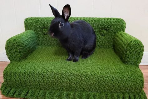 Who Says This Crochet Cat Couch Can't Moonlight As A Rabbit Sofa For A Cute House Bunny? Not This Gal via @crochetverse #crochet #handmade #diy 🐰 Amigurumi Patterns, Crochet Cat Couch, House Bunny, Bunny Beds, Cat Couch, Couch Ideas, Crochet Hack, Bunny House, Knitted Cat