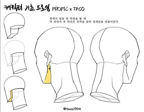 Taco Drawing, Neck Drawing, Head Anatomy, Artist Tutorials, 얼굴 드로잉, Drawing Heads, Anatomy Tutorial, 얼굴 그리기, Reference Drawing