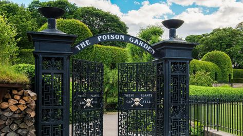 Established in 2005, the Poison Garden at the Alnwick Garden in Northumberland, England, is home to many toxic plants (Image credit: Design Pics Inc/Alamy) Poison Garden, Northumberland England, Alnwick Castle, Outdoor Theater, Poisonous Plants, Plant Images, Christmas Rose, Iron Gate, Unique Gardens