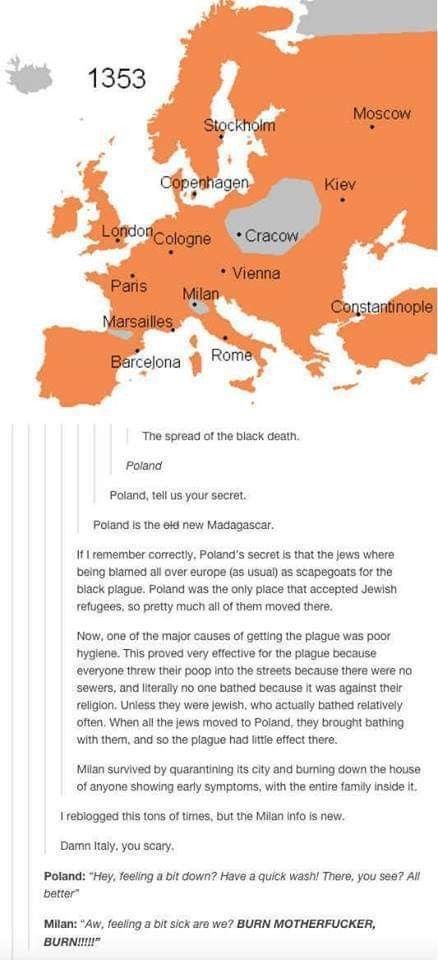 Poland and the black plague Black Plague, North Italy, History Jokes, Funny Tumblr, History Nerd, History Humor, Don't Trust, History Memes, Funny Tumblr Posts