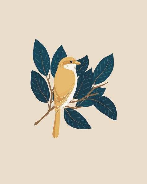 Yellow bird digital illustration. Illustrator, graphic design, art print, botanical, bird, tropical bird Botanical Bird Illustration, Digital Bird Art, Boho Bird Painting, Birds 2d Design, Birds Graphic Illustration, Birds Graphic Design, Bird Vector Art, Bird Illustration Vector, Bird Design Illustration