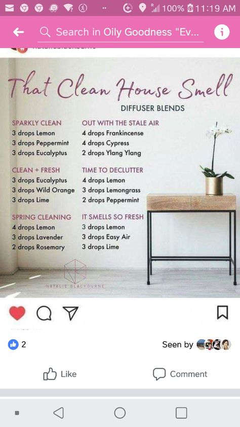 Clean House Smell, Make Your Home Smell Good, Home Smell Good, Essential Oil Combinations, Doterra Essential Oils Recipes, Essential Oil Diffuser Blends Recipes, Young Living Essential Oils Recipes, Essential Oil Spray, Essential Oils Guide