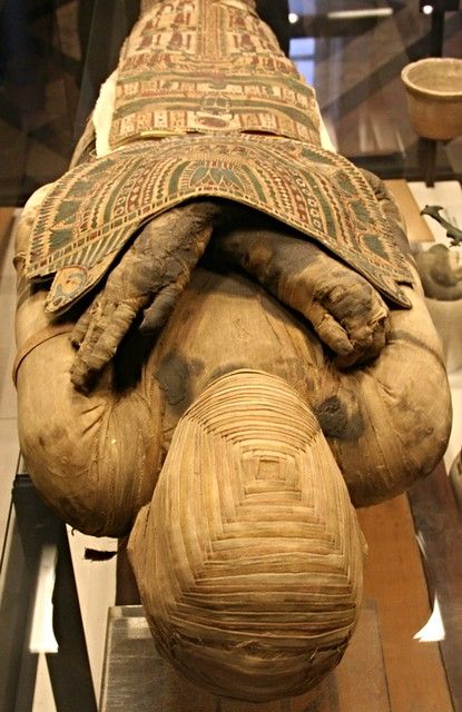 Egyptian Mummy, Starověký Egypt, Sejarah Kuno, Timur Tengah, Egiptul Antic, Egyptian Mummies, Egyptian Artifacts, Egypt History, Egypt Art