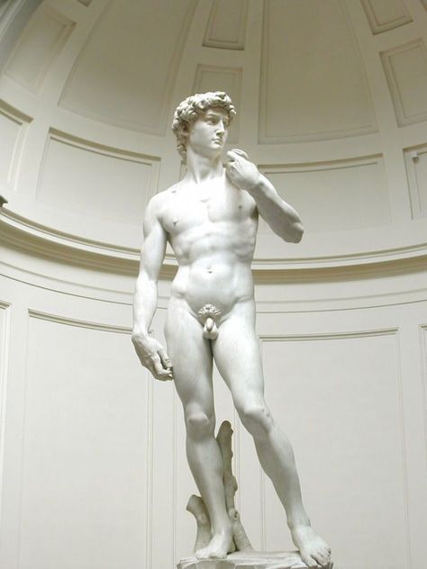 The David Statue, David Florence, Michelangelo Sculpture, Cinemagraph Gif, David Sculpture, Lorenzo Bernini, Istoria Artei, Auguste Rodin, Pierre Auguste Renoir